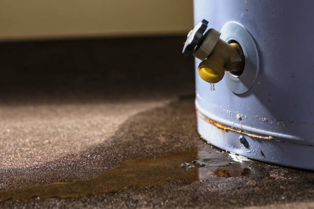 Best Flood damage cleanup  in Reno, OH