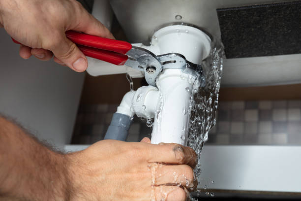 Best Professional water damage repair  in Reno, OH