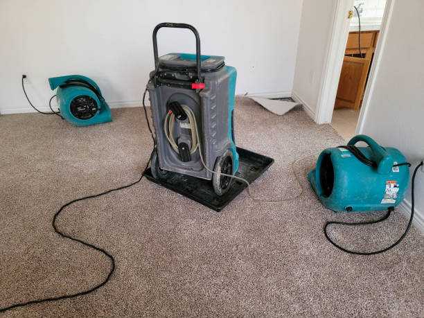 Best Residential water damage restoration  in Reno, OH