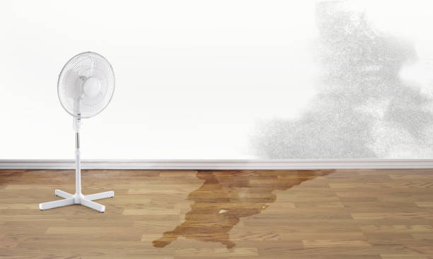 Local water damage restoration in Reno, OH