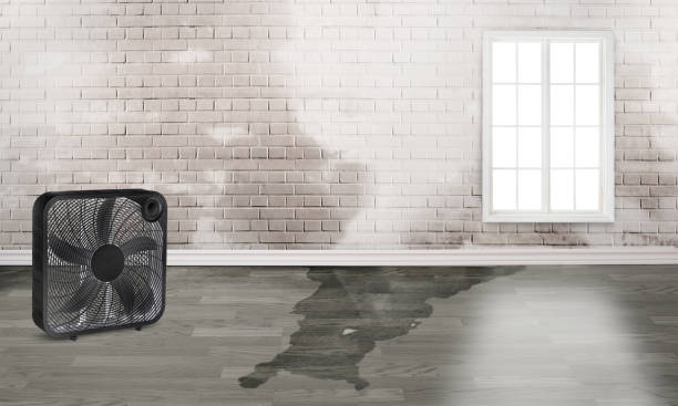 Best 24-hour water damage restoration  in Reno, OH