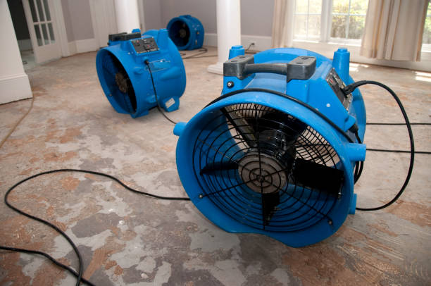 Best 24-hour water damage restoration  in Reno, OH