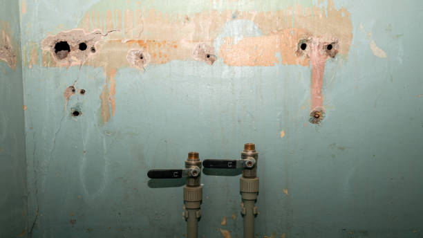Best 24/7 water damage repair  in Reno, OH