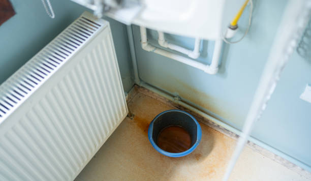 Best Water damage restoration process  in Reno, OH