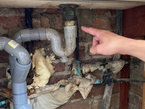 Carpet water damage restoration in Reno, OH